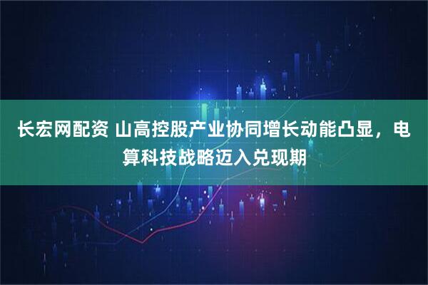 长宏网配资 山高控股产业协同增长动能凸显，电算科技战略迈入兑现期